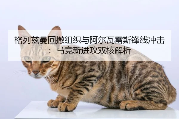 ge-lie-zi-man-hui-che-zu-zhi-yu-a-er-wa-lei-si-feng-xian-chong-ji-ma-jing-xin-jin-gong-shuang-he-jie-xi-2-109.jpg